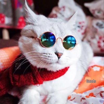 Pet Kulaté Rámové Sluneční Brýle - Trendy Retro Brýle pro Psy a Kočky