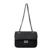 This year's popular bag women's 2025 summer new shoulder bag  version fashion versatile chain bag messenger bag