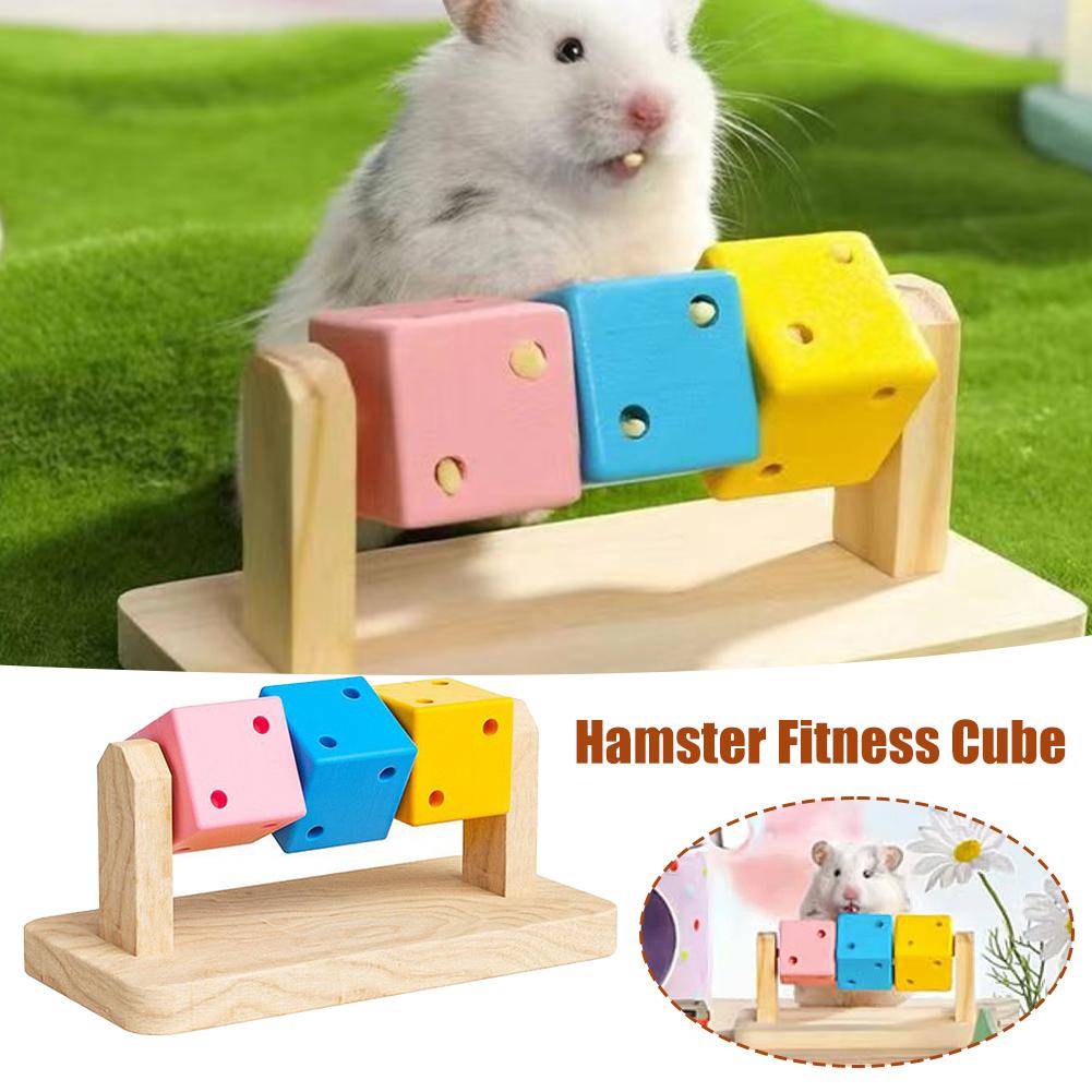 Hamster Fitness Cube Colorful Multi Faceted Activity Stress Relieving And Anti Depressant Toys For Hamster Sports