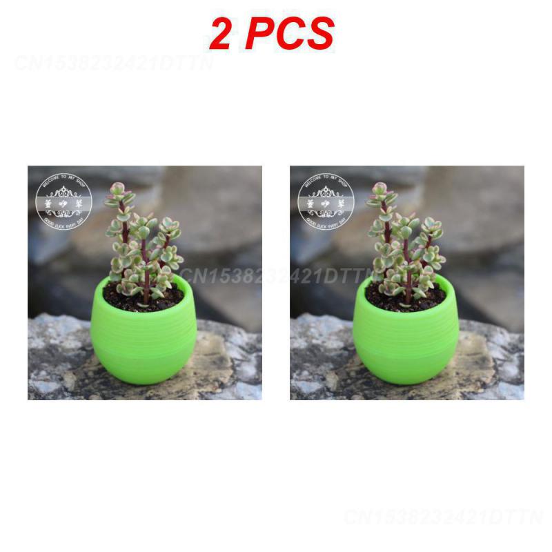 1/2/3PCS Plastic Flowerpot Small Green Plant Flowerpot Plant Desktop Potted Solid Color Mud Holder 2025 Succulent Plant Pot