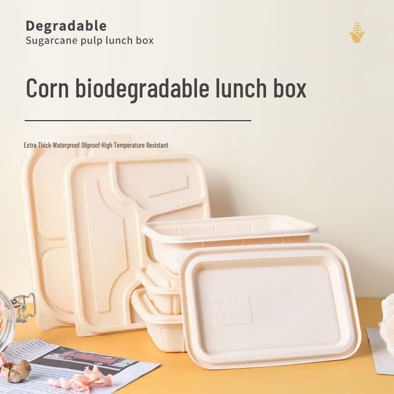 Degradable 5-Compartment Disposable Meal Prep Box with Lid