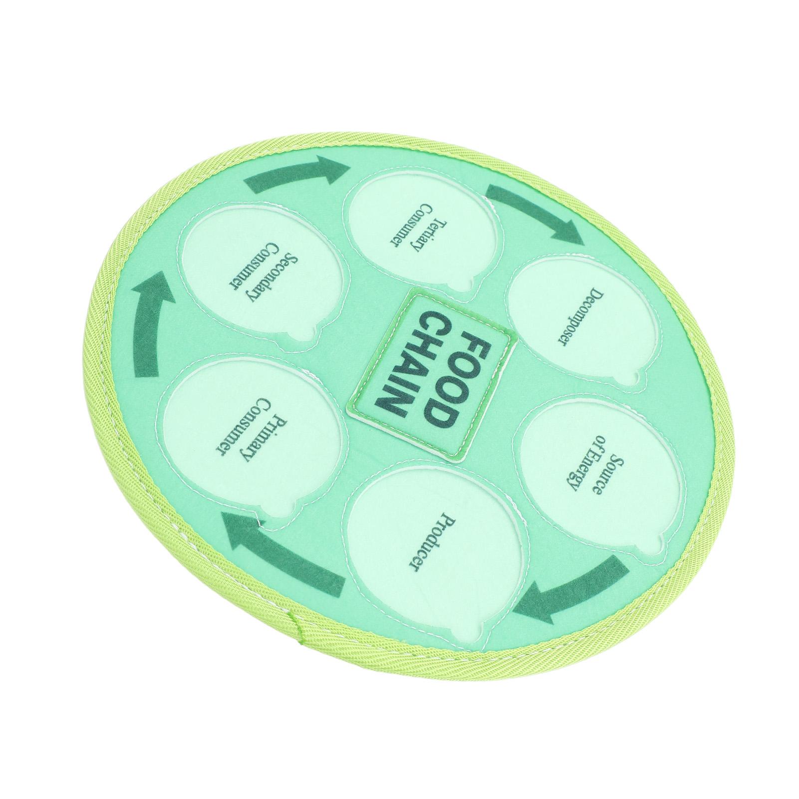 

Life Cycle Learning Toys Felt Material Animal Food Chain Food Web Science Educational Toy for