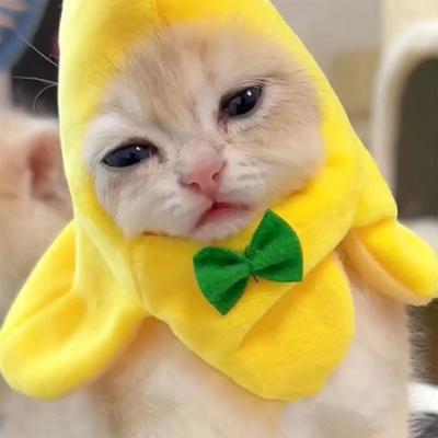 Bananowy pokrowiec na główkę kota kreatywne słodkie koty chustka dla zwierząt domowych nakrycia głowy pluszowe koty kostiumy Cosplay bananowe nakrycia głowy wydajność rekwizyt fotograficzny