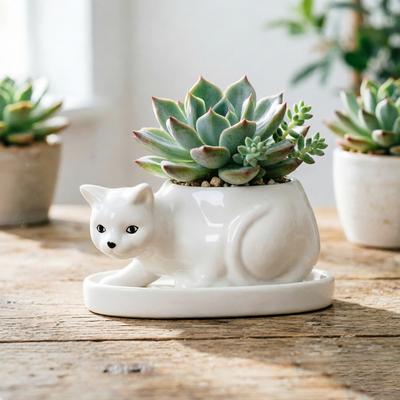 Cute Cat Ceramic Succulent Planter with Tray - Creative Animal Shape Flower Pot for Cactus/Bonsai/Indoor Plants - Home