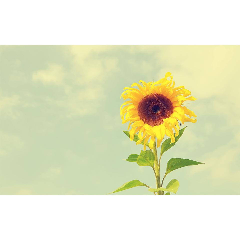 5D DIY Flowers Diamond Painting Rhinestone Landscape Picture Full Diamond Embroidery Mosaic Home Decor Gift Cross Stitch Kit