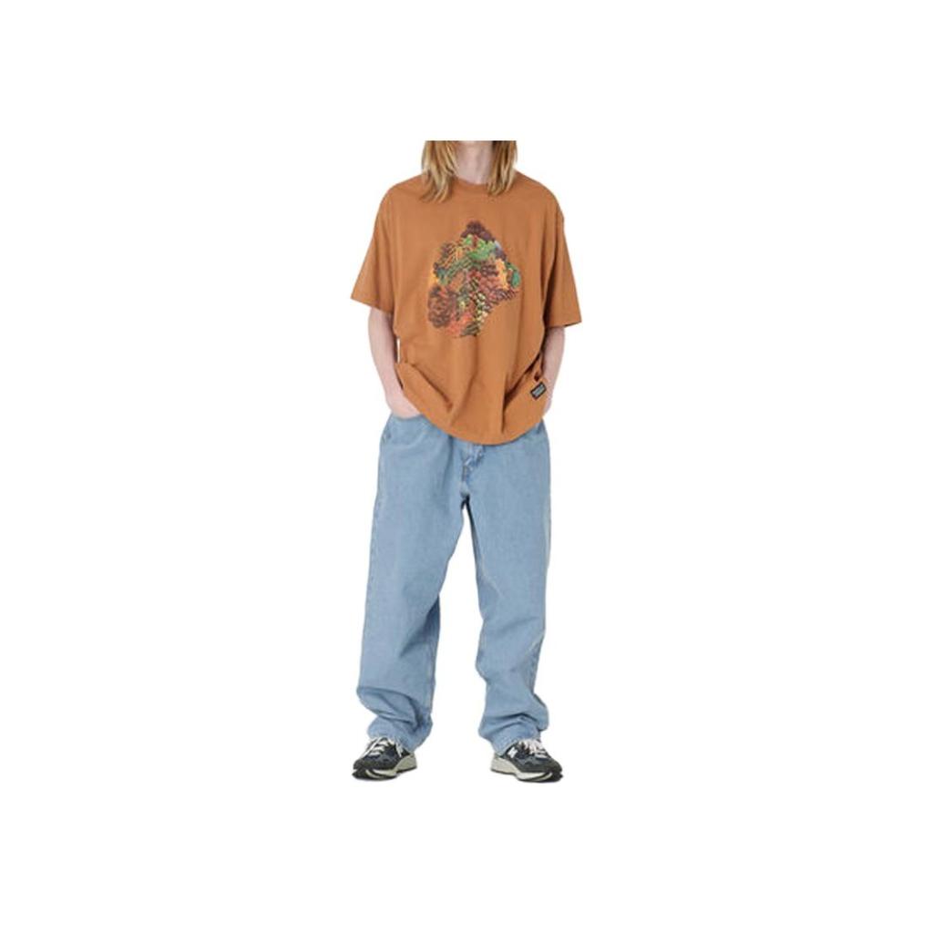 T-shirt da uomo Levis con stampa grafica, girocollo, vestibilità larga, manica corta, colore marrone A1005-0012