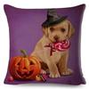 Farbe Süß Cartoon Haustier Hund Kissenbezug Kissenhülle Sofa Zuhause Auto Dekoration Tier