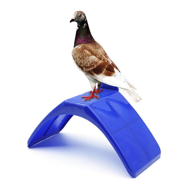 Universal Plastic Perch Stand for Racing/Homing Pigeons and Parrots In Bird Cages