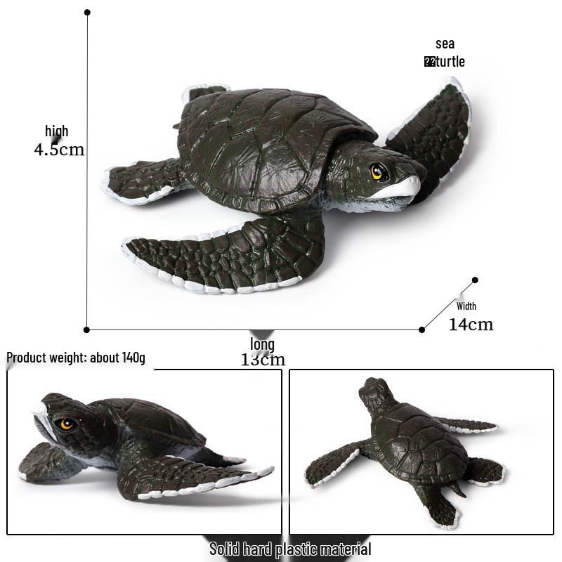 Cross-Border Children's Cognitive Amphibian & Reptile Tortoise Model Fish Tank Ornament Toy
