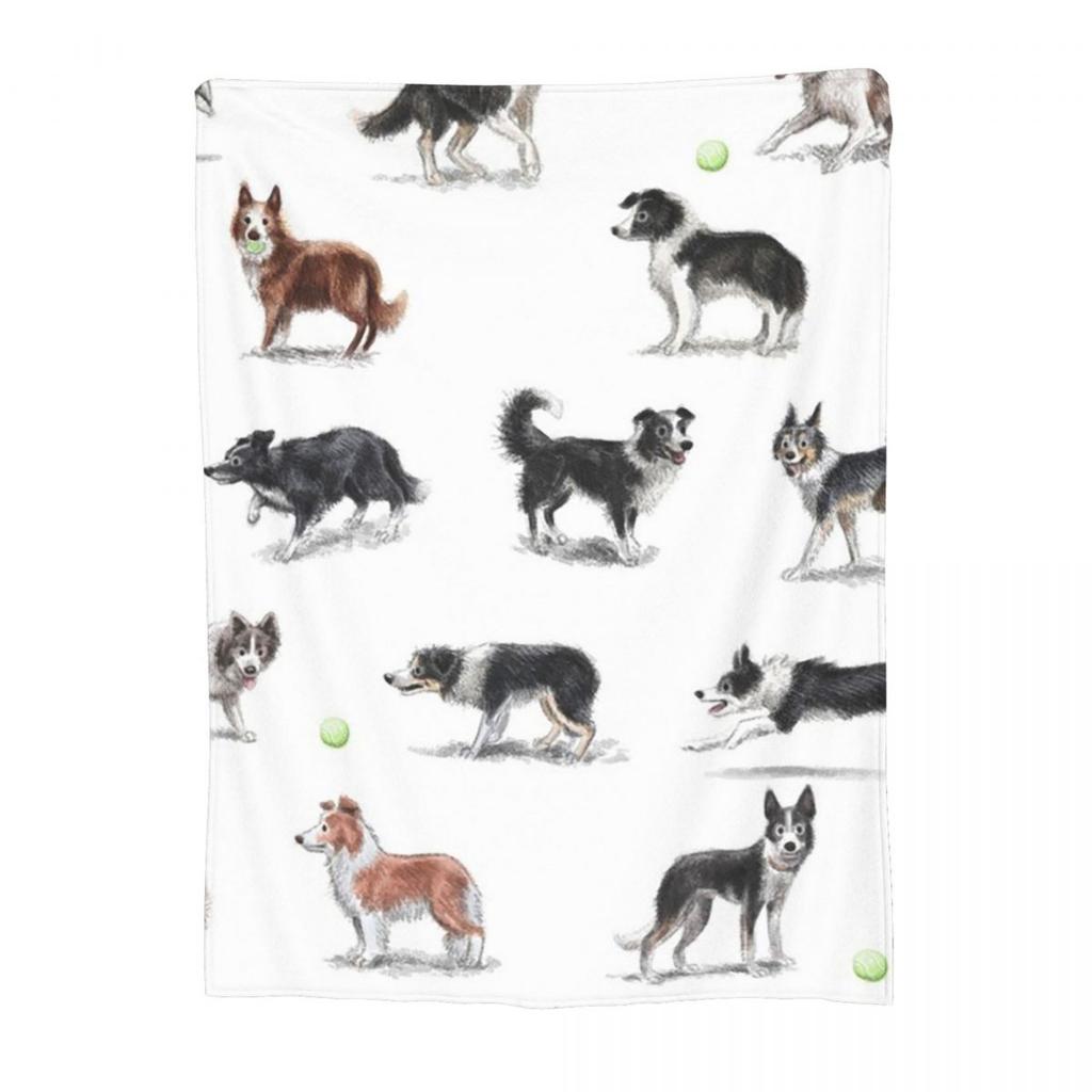 Border Collie Dog Cute Pattern Blanket Soft Warm Flannel Throw Blanket Cover for Bed Living Room Picnic Travel Home Couch