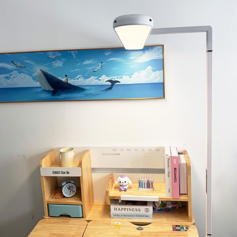 UOSU Eye-Protection LED Floor Lamp