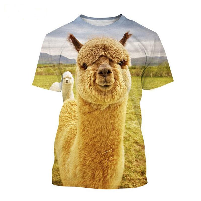 3D Cute Alpaca Print T-Shirt for Boys, Children's Animal Pattern Casual Short Sleeve Round Neck Summer Top