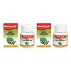 Baidyanath Giloy Ghan Bati 60 Tabletten (2er-Pack) | Unterstützt Immunität, Energie, Verdauung & Natürliche Entgiftung | Ayurveda Wellness-Nahrungsergänzungsmittel
