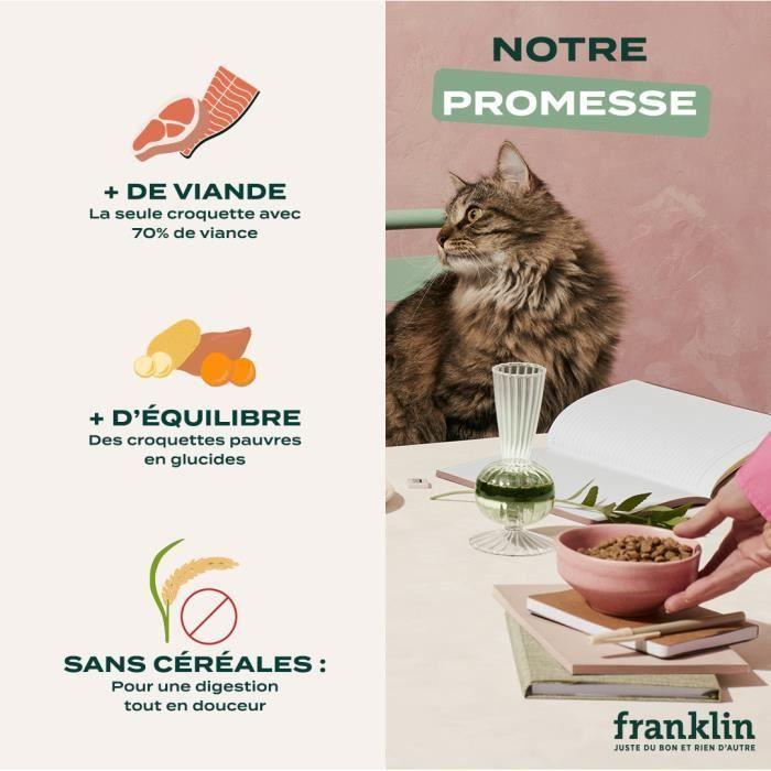 Croquettes Chat Stérilisé - FRANKLIN - 1 kg - Sans Céréales - Hypoallergénique - Saumon