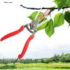 Fruit Picking Scissors Garden Double-edged Apple Picking Scissors Kiwi Pear Thinning Scissors Double Mouth Thinn Shear Hand Tool