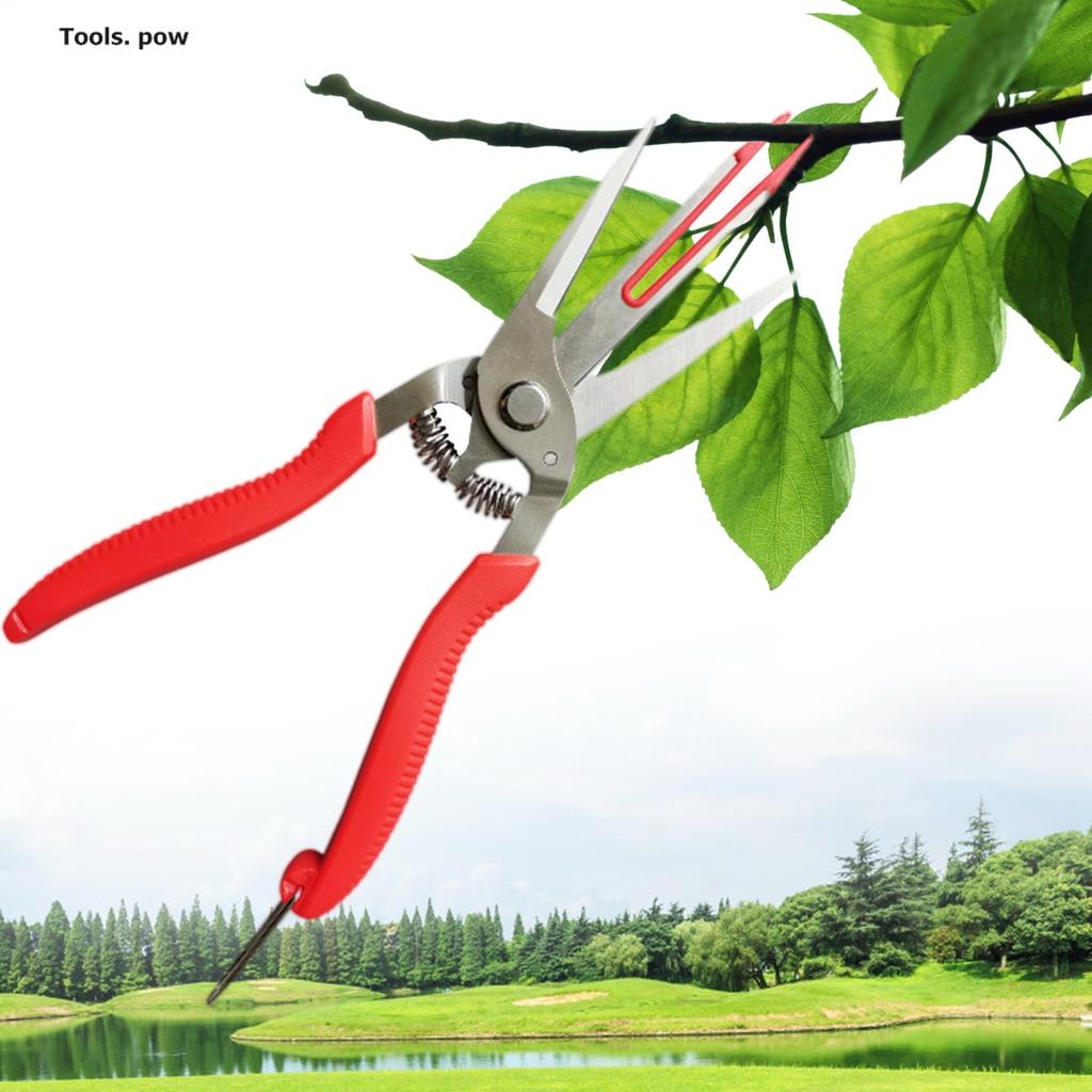 Fruit Picking Scissors Garden Double-edged Apple Picking Scissors Kiwi Pear Thinning Scissors Double Mouth Thinn Shear Hand Tool