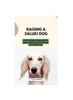 Libro Raising a Saluki Dog : The Complete Handbook On How To Raising And Caring For Saluki Dog