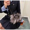 Podzimní a zimní nová vlasová taška dámská spona do vlasů z liščí srsti dámská taška s texturou ramenní crossbody oblačná taška trendy zahraniční obchod dámská taška