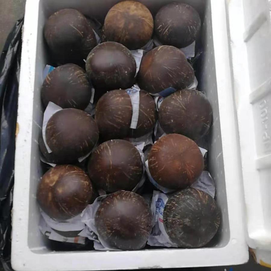 Eco-Friendly Coconut Shell Bowl for Desserts and Snacks