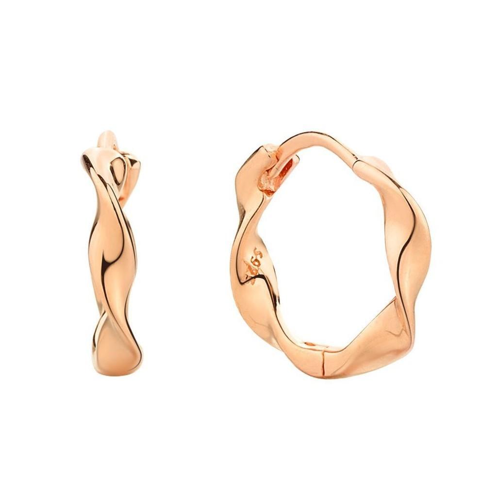 2pcs Ring Earrings Round Ear Buckles And Personalized Exquisite Earring