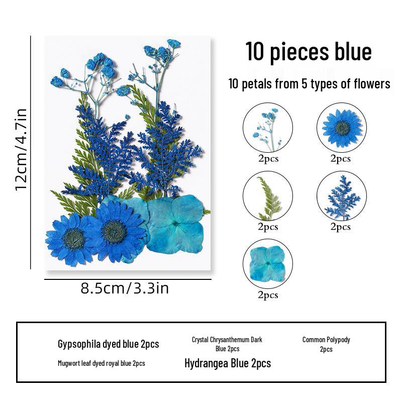 DIY Dried Flower Specimen Sticker Set for Kids: Handmade Pressed Flower Frames & Resin Bookmark Craft Kit