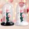 Luminous Eternal Rose Lamp with Lampshade Bedroom Bedside Lamp LED Flower Light  Anniversary Gift