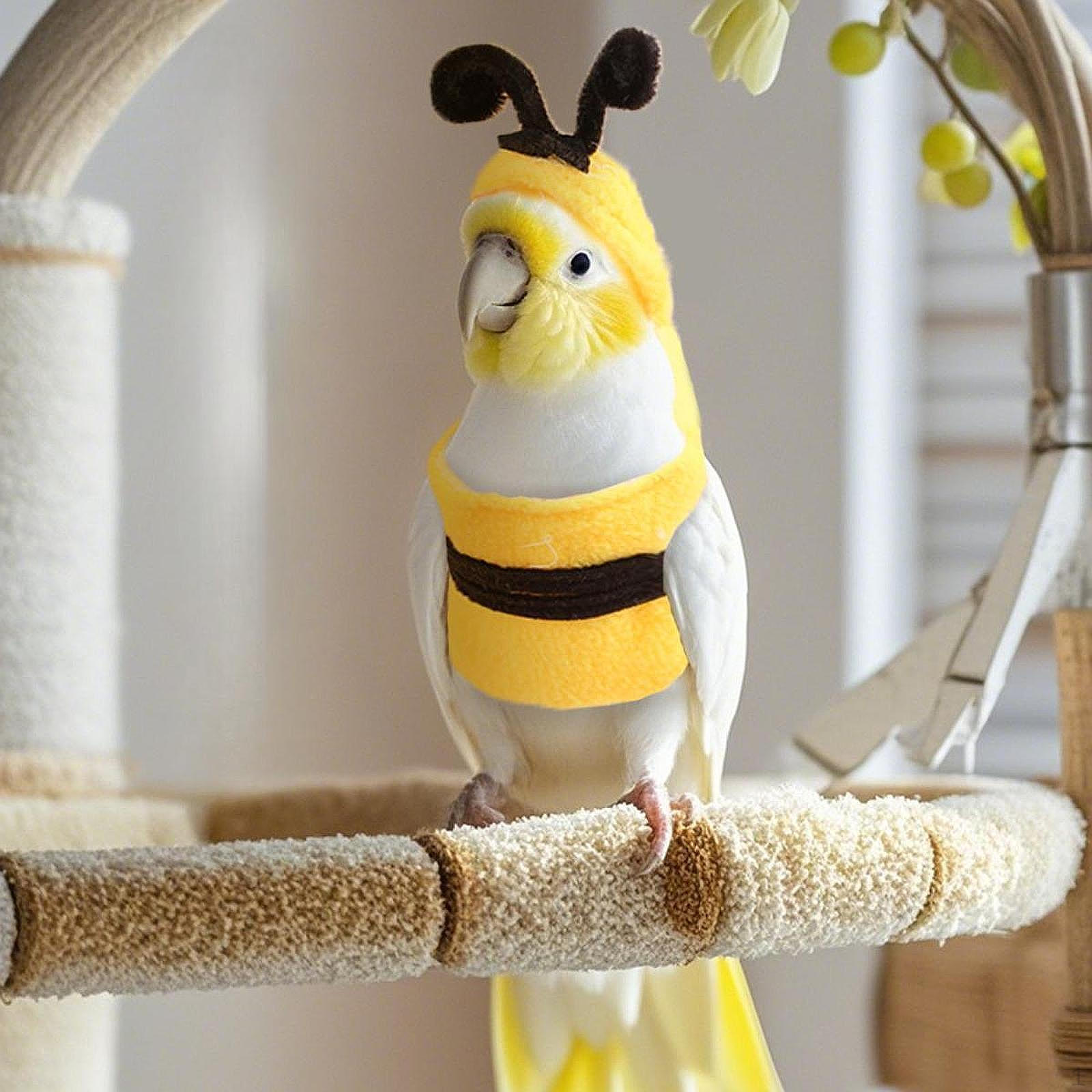 

Костюм птицы, подгузник, костюм мухи, толстовка с капюшоном, одежда для косплея, фотореквизит для S