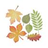 Set of 6 Leaves Cutting Dies • dpCraft
