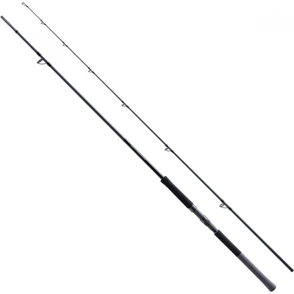 Shimano 25 Salty Advanced Shore Jigging S100mh Shore Salt Rod 274748