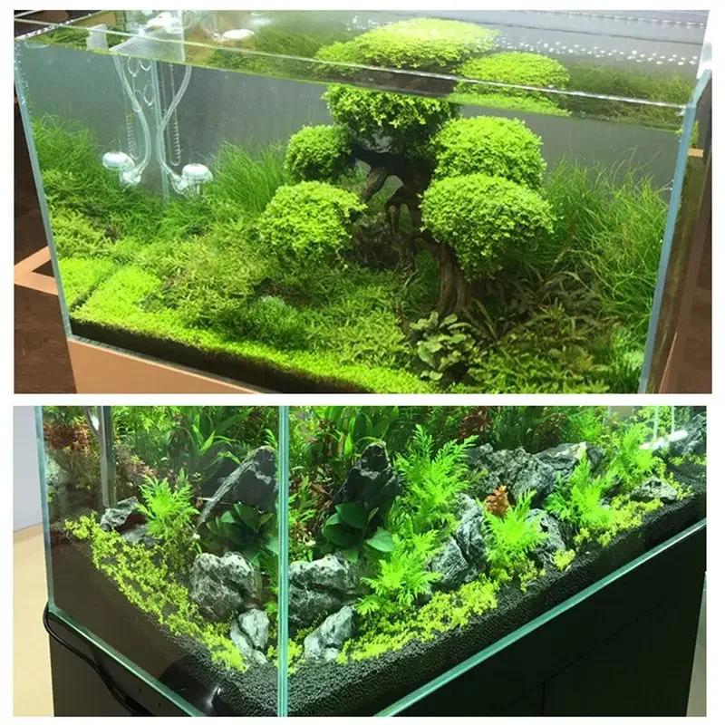 100g Schwarzer Sand Aquarium Substrat für Fischbecken Sukkulenten Vasenfüllung Topfpflanzen Blumenarrangement Bodensand
