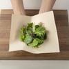 Japanese Product Eliere Kitchen Towels Ultra Absorbent Unbleached 100 Cuts Rolls