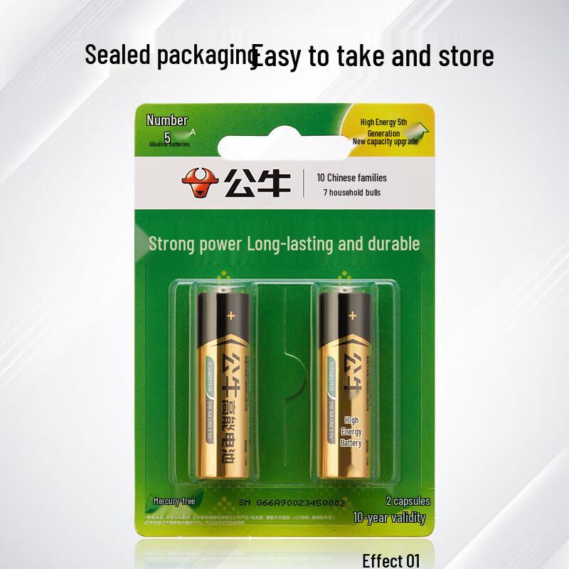 BULL AA Alkaline Batteries CN plug (adapter included)
