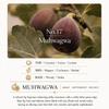 HETRAS Mango Seed Butter Perfume Moisturizing Hand Cream 50ml