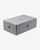FZ1095-101 Nike LeBron 22 Crown Jewel FZ1094-101 (Men's)