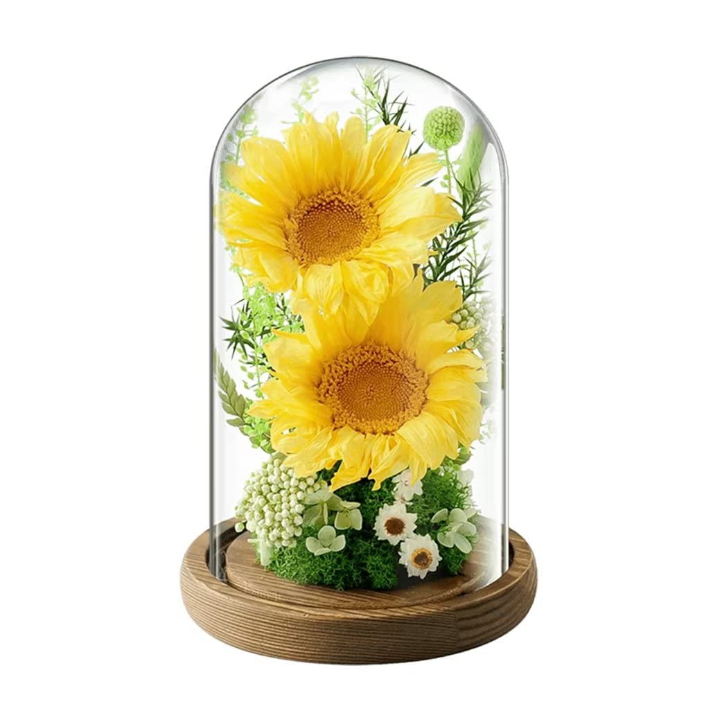 

Preserved Sunflower Gift in a Glass Cute Sunflower Preserved Box with LED Carry and Message Perfect for Respect for the Aged Thank You Day and Gifts