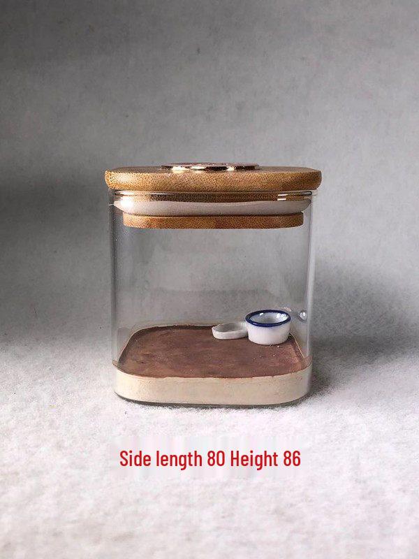 Chic Winter Cricket Breeding Box: Stylish Jar for Cricket Supplies and Singing Insects