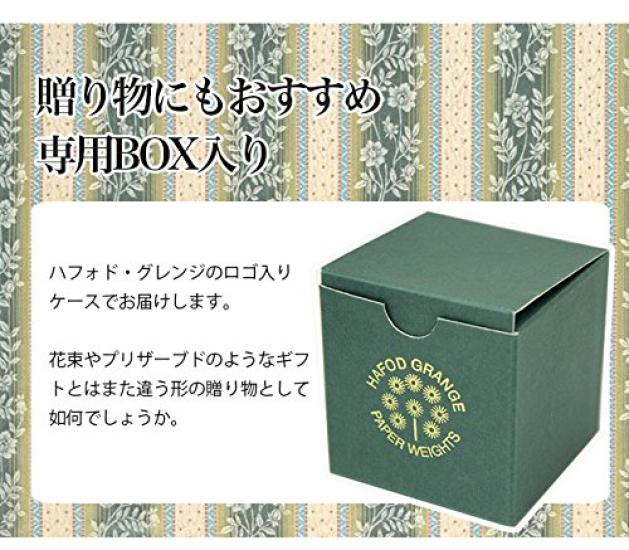 HafodGrange Flower HG18S Paperweight, Small, Forget-me-not,