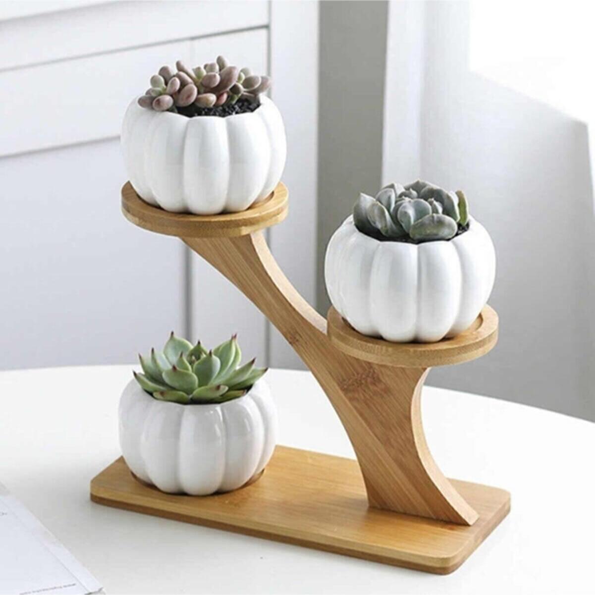 

Yeshill s Home DRY WOOD Горшок для суккулентов с тыквой, 3 шт.