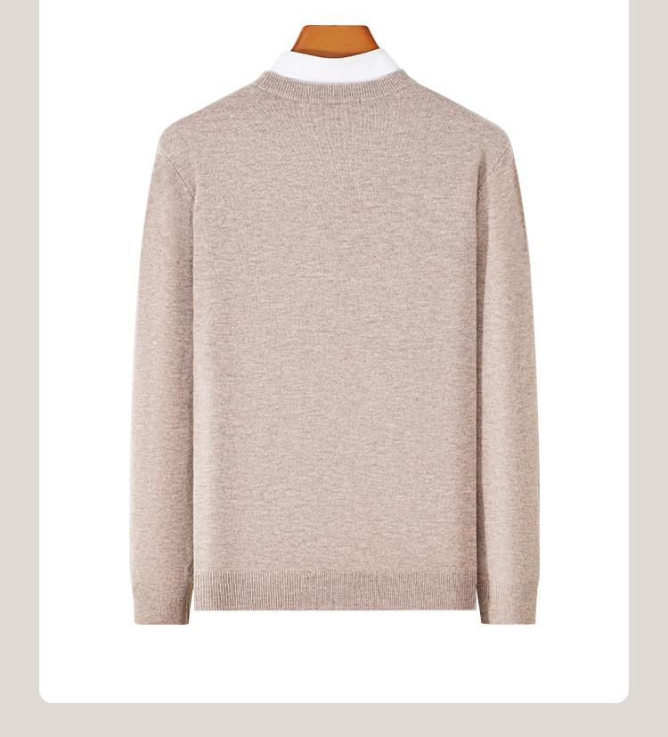 [100% Sheep Wool] Simple Luxury Business Leisure Men's Round Neck Thick Wool Sweater Base Sweater Spring and Autumn