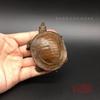 Solid Figurine Simulation Mini Cute Small Yuan Fish Old Copper Handheld Turtle Tea Pet