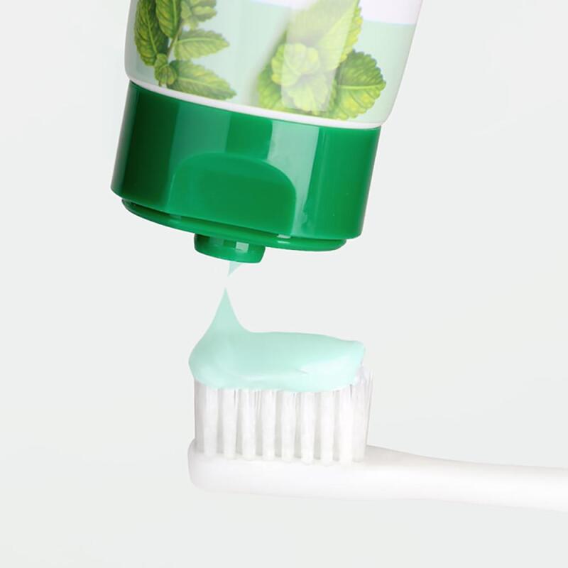 Nard Bad Breath Care Toothpaste (100g x 3)