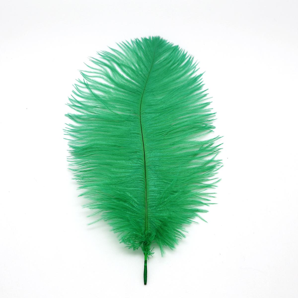 

Красиві страусині пір я для виготовлення ювелірних виробів своїми руками Декор весільних вечірок Аксесуари Весільні прикраси 20-25cm 5pcs зелений