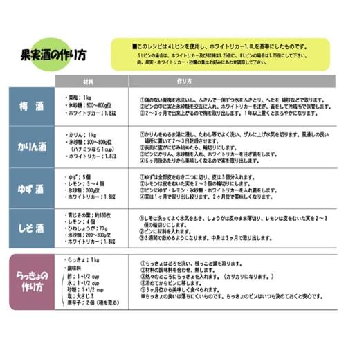 Living Plum Wine Fruit Wine Bottle, 4L, Wide Mouth, for Fruit Wine, 310190, Red