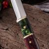 Coltello da cucina in acciaio inossidabile Coltelli da chef Coltello da cucina Coltello da frutta per carne e verdure