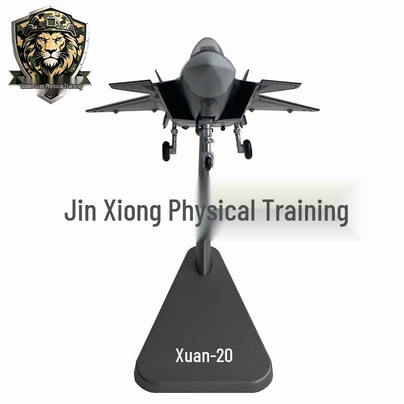 Golden Lion J-20 Fighter Jet Alloy Model
