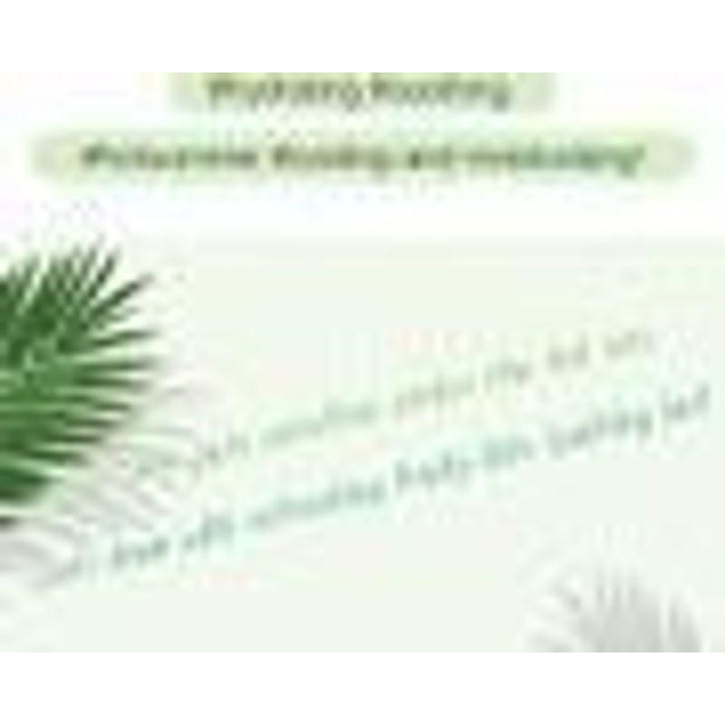 Pretty skin - Gold Snail Soothing Gel