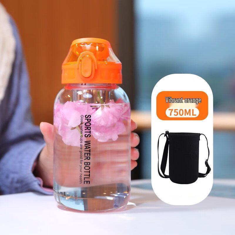 Shangqi High Borosilicate Glass Water Bottle with Handle & Flip-Top Lid