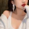 Celebrity 2025 Tassel Earrings: Trendy Korean Style, Bold European & American Design for Women