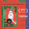 Moral Tales: Short Stories by J.M. Coetzee