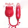 G-Spot Vaginal Vibrator Vlitoral Nipple Sucking Ctimulator 10 Sucking Modes Vibrating Egg Adult Sex Toys for Women & Couples